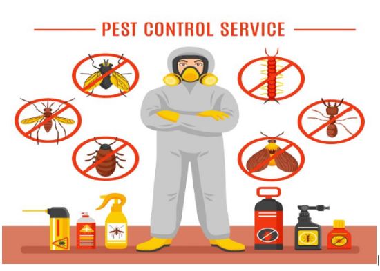 Tips to Avoid pests from invading your home again after leaving it